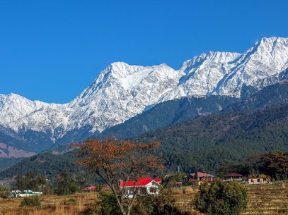 Book Your Dream Tour Packages with Calling India tour