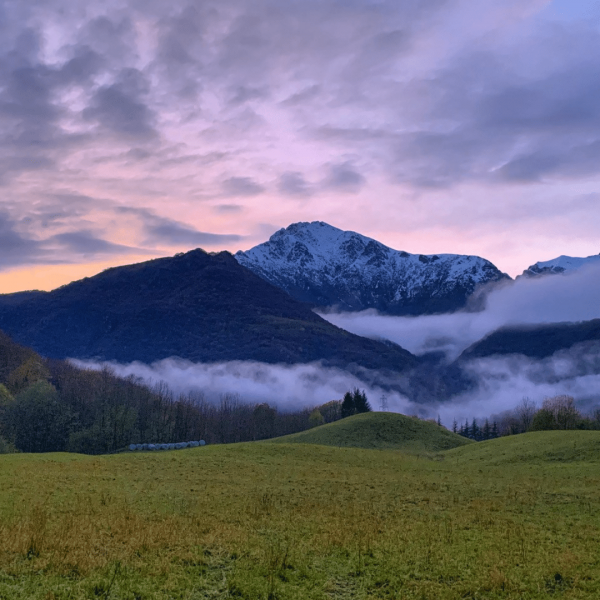 Dharamshala With Calling India Tour